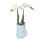 Kolibri Orchids orchidée Phalaenopsis blanche - Amabilis + pot à poisson turquoise - taille de pot 9cm