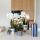 Kolibri Orchids Set of white Phalaenopsis orchid Amabilis and succulent Crassula Hobbit in blue Painted Stripe pot - pot size 9cm + 6cm