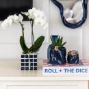 Kolibri Orchids Phalaenopsis blanc Amabilis + pot...