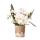 Kolibri Orchids White Phalaenopsis Orchid - Nazaré - pot size 9cm