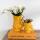 Hummingbird Orchids Set of white Nazaré orchid and succulent in decorative orange fish pot - pot size 9cm and 6cm