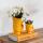 Hummingbird Orchids Set of white Nazaré orchid and succulent in decorative orange fish pot - pot size 9cm and 6cm