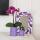 Kolibri Orchids Geschenkset Optimismus Klein Lila Grüne Pflanze mit orangefarbener Phalaenopsis Orchidee in Candy Zierpflanzentöpfen auf weißem organischen Tablett