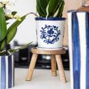 Kolibri Orchideen weiße Phalaenopsis Orchidee Amabilis + Malaga Ziertopf blau Topfgröße 9cm blühende Zimmerpflanze
