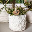 Kolibri Company Set Star Fish small Weiße Phalaenopsis Orchidee Lausanne und Sukkulente inkl. Keramik-Ziertöpfe auf weißem organischen Tablett