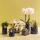 Kolibri Orchids white amabilis orchid + candy pot blue - pot size 9cm