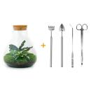 Flaschengarten "Sammie" DIY-Pflanzenterrarium 27 cm mit Calathea incl. Rechen, Schaufel und Pinzette
