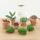 Flaschengarten "Teddy" - DIY-Pflanzen-Terrarium - 27cm hoch - mit Calathea-Pflanze