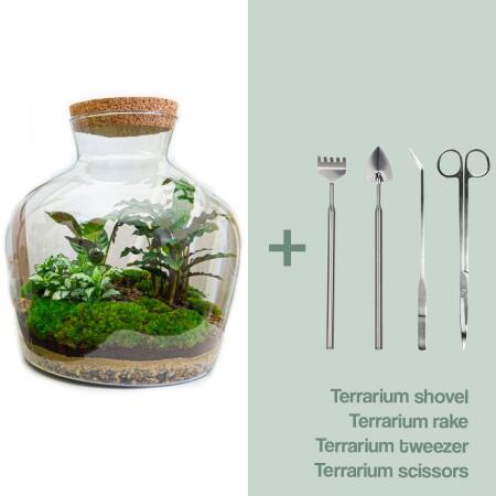 Flaschengarten "Fat Joe" DIY-Pflanzenterrarium 30 cm incl. Rechen, Schaufel, Pinzette und Schere