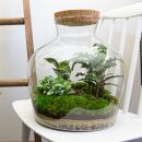 Flaschengarten "Fat Joe" DIY-Pflanzenterrarium 30 cm incl. Rechen, Schaufel, Pinzette und Schere