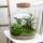 Flaschengarten "Fat Joe" DIY-Pflanzenterrarium 30 cm incl. Rechen, Schaufel, Pinzette und Schere