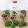 Bottle garden "Fat Joe" - green - DIY plant terrarium - 30cm high