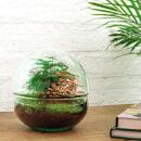 Bottle garden "Dome" - glass ball - DIY plant terrarium - 20 cm high