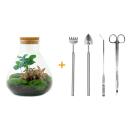 Flaschengarten Sammie DIY-Pflanzenterrarium 27cm mit Kaffeepflanze incl. Rechen. Schaufel, Pinzette und Schere