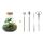 Flaschengarten Sammie DIY-Pflanzenterrarium 27cm mit Kaffeepflanze incl. Rechen. Schaufel, Pinzette und Schere