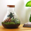 Jardin en bouteille "Sam xl" - avec bonsaï - terrarium pour plantes DIY - hauteur 35cm