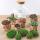 Flaschengarten "Fat Joe" - ROT - DIY-Pflanzenterrarium - 30cm hoch