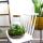 Jardin en bouteille "Sam xl" - Terrarium pour plantes DIY - hauteur 35cm