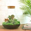 Bottle garden "Sam xl" - red - DIY plant...