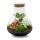 Jardin de bouteilles "Sam xl" - rouge - terrarium pour plantes DIY - hauteur 35cm