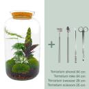 Flaschengarten "Botanical Sven XL" - DIY-Pflanzenterrarium - 43 cm hoch