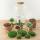 Flaschengarten "Botanical Sven XL" - DIY-Pflanzenterrarium - 43 cm hoch
