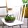 Jardin en bouteille "Sammie" - Terrarium pour plantes DIY - hauteur 27 cm