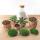 Jardin en bouteille "Sammie" - Terrarium pour plantes DIY - hauteur 27 cm