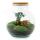 Flaschengarten "Teddy" - DIY-Pflanzen-Terrarium -  27cm hoch