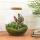 Flaschengarten "Teddy" - DIY-Pflanzen-Terrarium -  27cm hoch