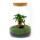 Milky" bottle garden - DIY plant terrarium - 30 cm high