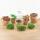 Bottle garden "Dome" - glass ball - DIY plant terrarium - 20 cm high