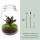 Flaschengarten "Mason Jar" - DIY-Pflanzenterrarium - 28 cm hoch