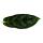 Aglaonema Amazon Silver - Filament coloré en épi - Variétés insolites - 12cm - hauteur env. 25-30cm