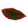Aglaonema Jungle Red - Buntblättriger Kolbenfaden - Ausgefallene Sorten - 12cm - ca. 25-30cm hoch