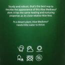 Aloe medivera Equator - New Aloe vera variety - 14cm pot - approx. 30cm high