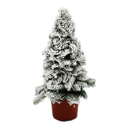 Kerosene tree - Christmas tree with snow - Christmas decoration - Christmas arrangement with wax - for outdoors - 40cm high