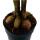Palmier de Bétel - Areca catechu - Palmier dintérieur - Palmier de Bétel - Pot 12cm