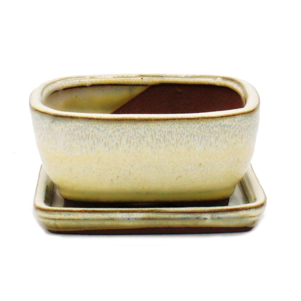 Pot à Bonsaï Carré Vert Avec Soucoupe - Modèle G81 - Parfait Pour Les Bonsaïs D'intérieur