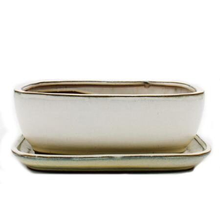 bonsai bol avec soucoupe taille 4 - beige clair - rectangulaire - modèle gb5 - l 26cm - l 20cm - h 9cm