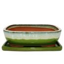 bonsai bol avec soucoupe Gr. 6 - Vert-beige -...