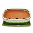 bonsai bol avec soucoupe Gr. 6 - Vert-beige -...