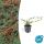 Bodendecker - Kriechmispel - Teppichmispel - Cotoneaster dammeri Major - 9cm Topf - Set mit 6 Pflanzen