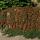 Bodendecker - Zwergmispel - Kriechmispel - Cotoneaster Streibs Findling - 9cm Topf - Set mit 40 Pflanzen
