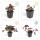 Bodendecker - Purpurglöckchen - Heuchera mic. Palace Purple - 9cm Topf - Set mit 6 Pflanzen