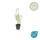 Katzenminze - Nepeta faassenii Walkers Low - pflegeleichte Staude - 9cm Topf - Set mit 40 Pflanzen
