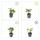 Bodendecker - Schattengrün - Dickmännchen - Pachysandra terminalis - 9cm Topf - Set mit 6 Pflanzen