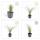 Ziergras - Mexikanisches Federgras - Stipa tenuissima Ponytails - 9cm Topf - Set mit 6 Pflanzen