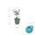 Plante ornementale - Ortie odorante - Agastache rugosa Blue Fortune - Pot de 9cm - Set de 20 plantes