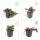 Bodendecker - Kriechender Günsel - Ajuga reptans Burgundy Glow - 9cm Topf - Set mit 6 Pflanzen